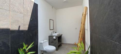 Apartamento Jungla Zipolite Departamento Fatima