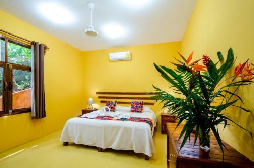 Bed & Breakfast Casa Biul�