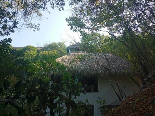 Posada Aldea Xha Iba' Zipolite