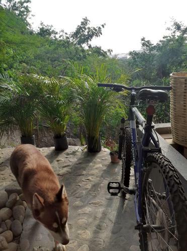 Posada Aldea Xha Iba' Zipolite