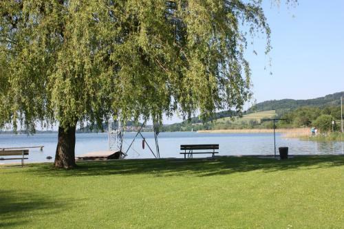 Apartamento Ferienwohnungen Am See