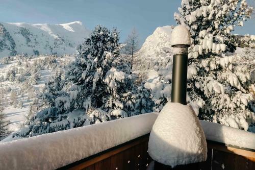 Heidi Chalets Falkert Heidialm - Chalet Almsommer
