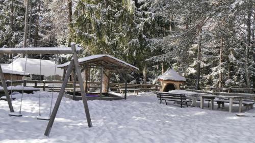 Ferienhaus Skiblume
