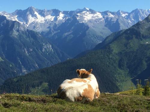 Apartamento Landhaus Zillertal