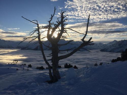 Apartamento Landhaus Zillertal