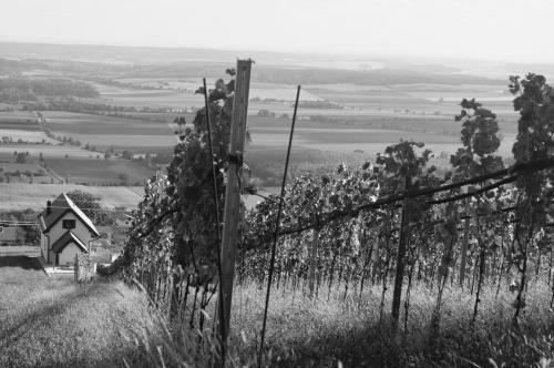 Renthouse - Ferienhaus Am Weinberg