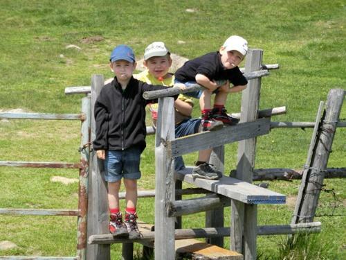 Agroturismo Lindlhof Fam. Taferner
