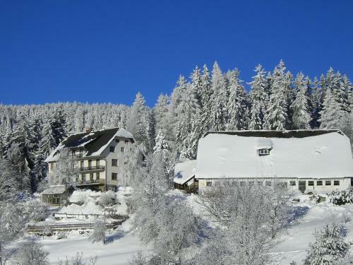 Agroturismo Urlaub Am Bauernhof Grabenhofer