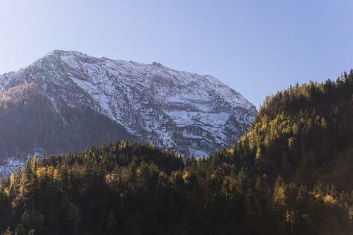 Apartamento Zenauerhof