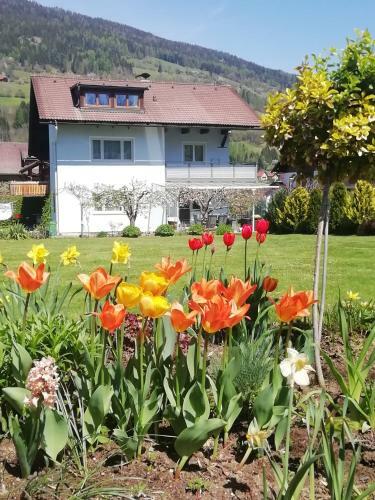 Apartamento Pension Strauss