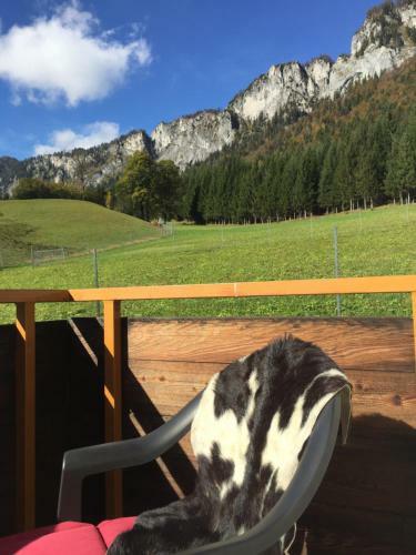 Apartamento Berghof Haselsberger Appartements