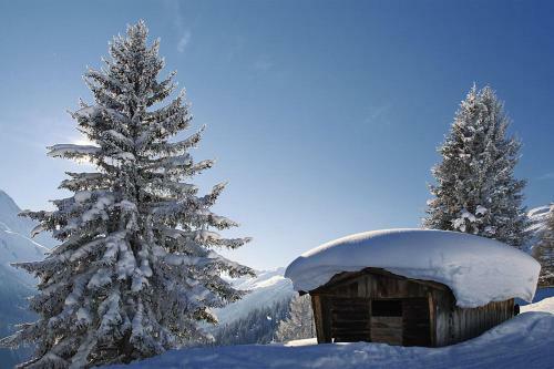 Apartamento Alpenrose Appartements Burger Evelin
