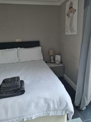 Private Luxury Annex Apartment With Secure Free Parking