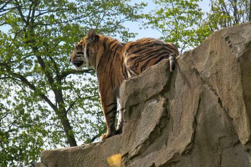 30 Overleigh Road