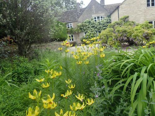 Bed & Breakfast Field End House
