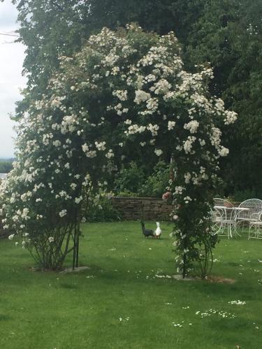 Hall Farm Bed & Breakfast