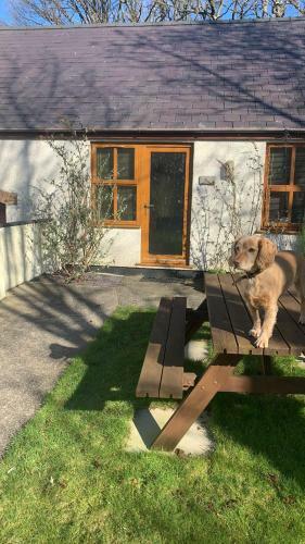 Graiglwyd Springs Holiday Cottages