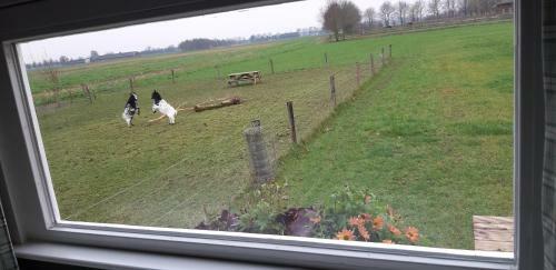 B&B Wijd En Zijt Pipowagen