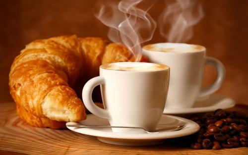 Bed & Breakfast Genesis Voorschoten