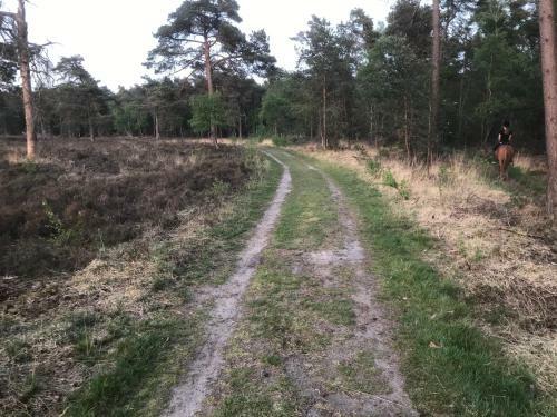 Apartamento Wildenborcherhof