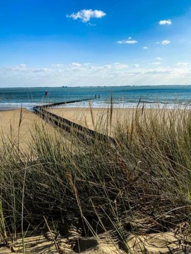 Apartamento Studio Het Strandhuis Ka05