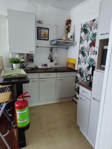Apartamento Cosy Appartement Wassenaar