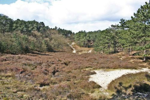 Hotelhuisje Warmenhuizen #c