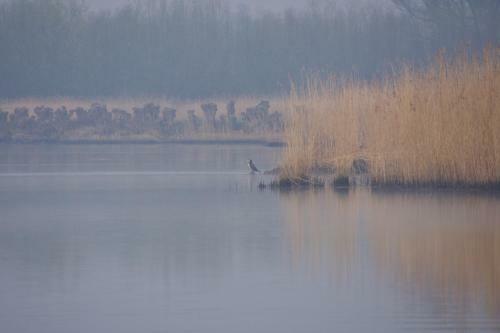 Aquahome - Bijzonder Overnachten In De Biesbosch