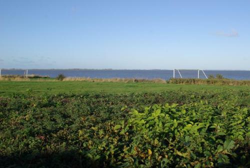 Wadhuis Aan Waddenzee Inclusief 2 E-bikes