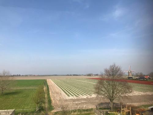 Aparthotel In De Gele Hoed