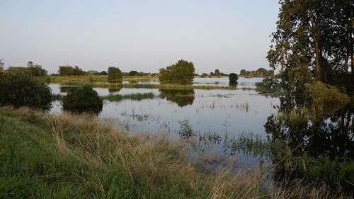 Bed & Breakfast Thuis Bij Elles