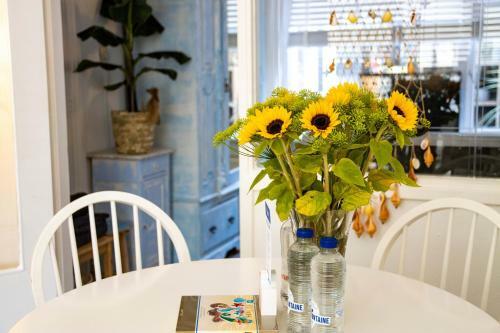 Hostal Hippocampus Aan Zee