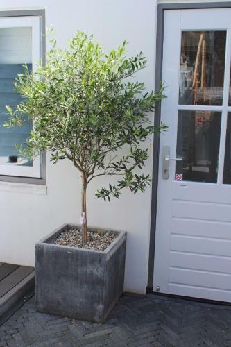 Apartamento Zanoni Aan Zee
