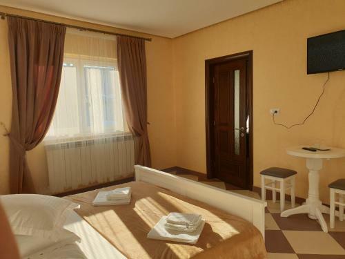 Villa Pensiunea Putnisoara