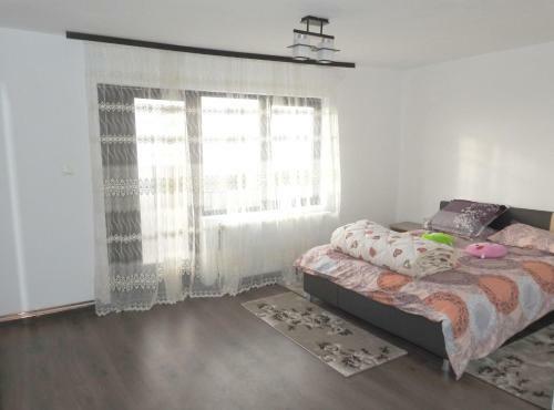 Casa Oana