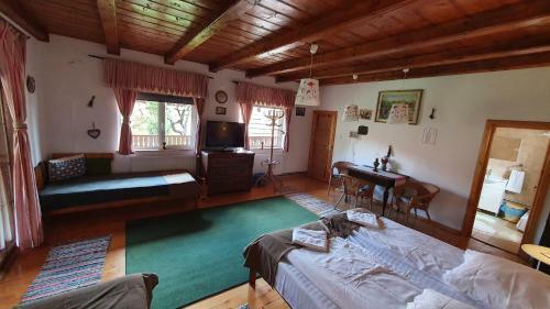 Lodge Pensiunea Aranyos