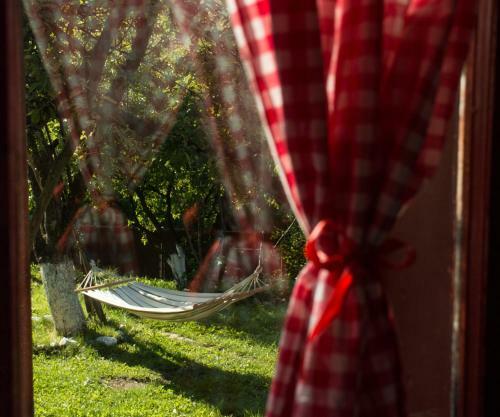 Hostal Casa Petri Rosia Montana