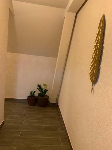 Apartamento Braun Residence