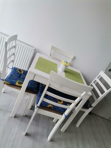 Cazare Apartament Rasnov