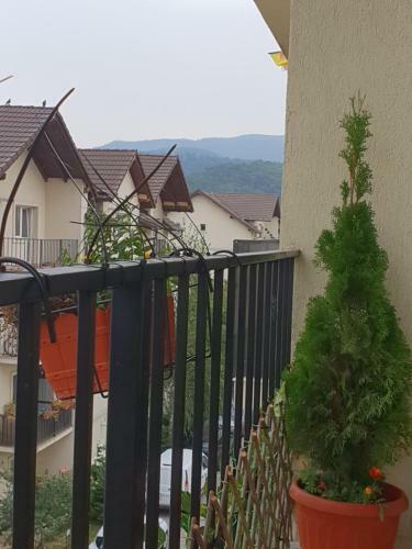 Apartament Mady & Ary Rasnov