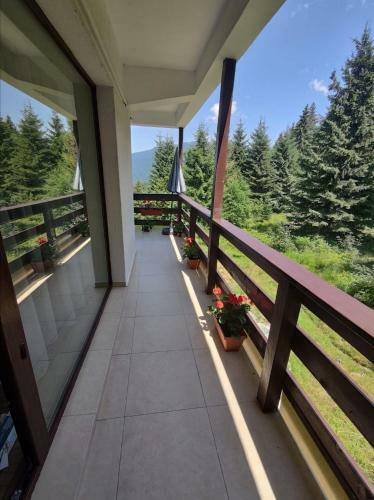 Apartamento Green Studio