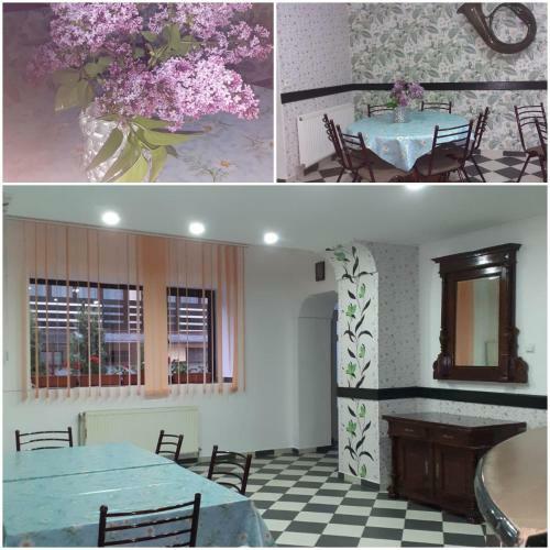 Hostal Pensiunea Ialomicioara