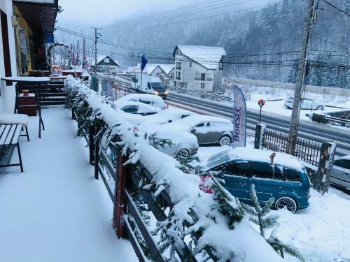 Hostal Pensiunea Alexandru