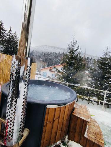 Hostal Pensiunea Alexandru
