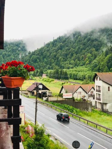 Hostal Pensiunea Alexandru