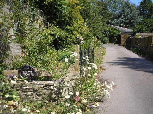Bed & Breakfast Woodland Views