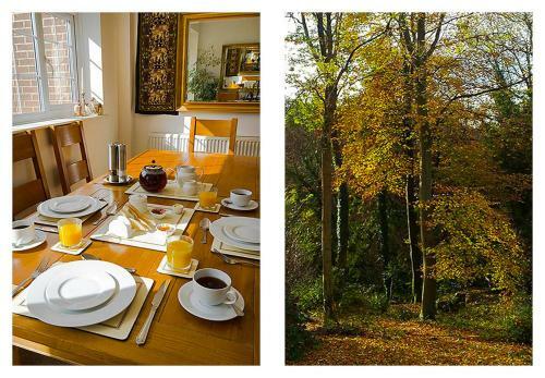 Bed & Breakfast Woodland Views
