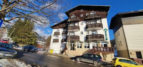 Hostal Pensiunea Alpin