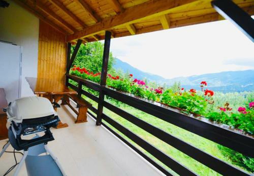 Apartamento Nature House Predeal