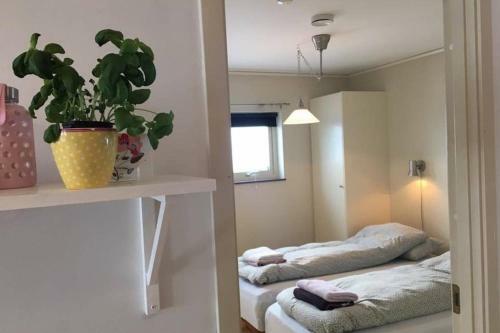 4 Bedrooms Apartment At Riksgr�nsen